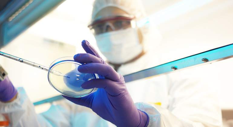 Investigador farmaindustria