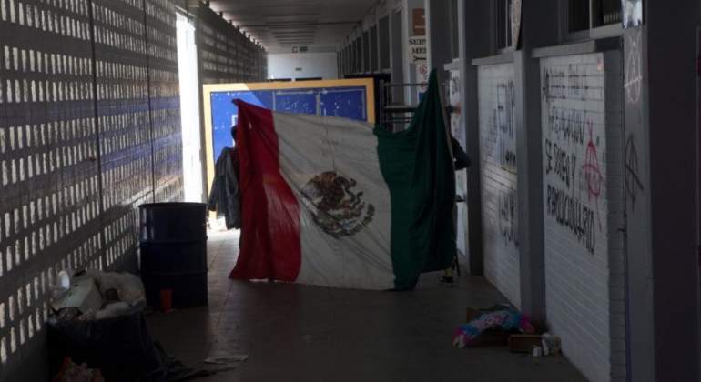 prepa-9-paro-perro.jpg