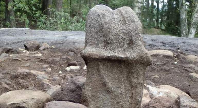 pene-gigante-en-suecia-770-nhm-the-arqueologist.jpg