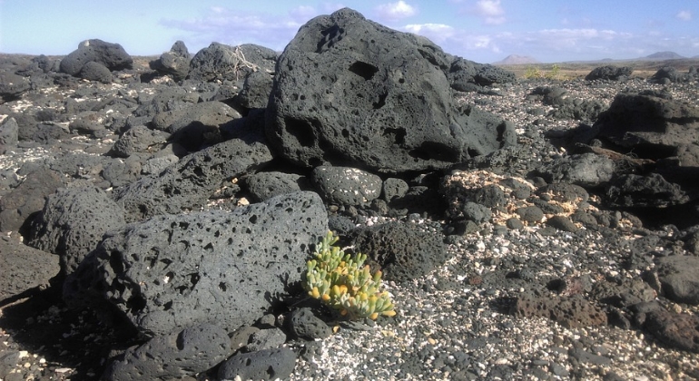 rocas-volcanicas-770x420-pixabay.jpg