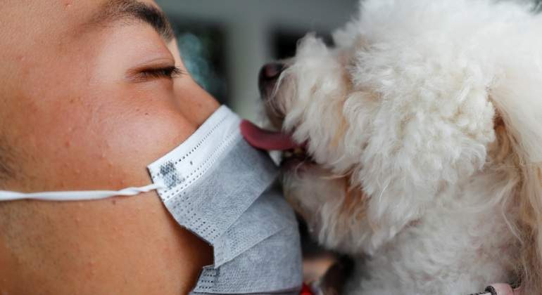 coronavirus-mascota-perro-reuters.jpg