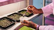 Así será la comida del futuro ante la sobrepoblación