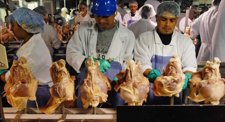 trabajadores-tyson