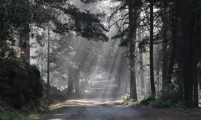foto-gredos-cedida.jpg