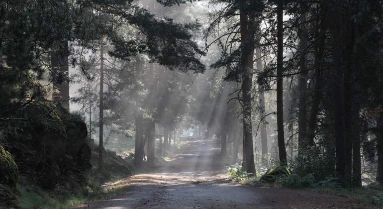 foto-gredos-cedida.jpg