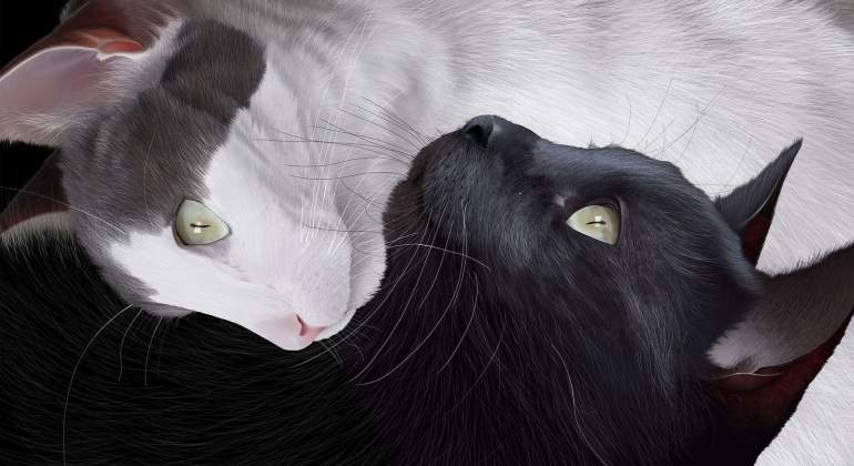 jaime-sanjuan-yin-yang.jpg