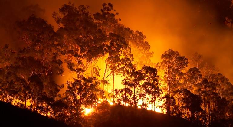 Fuego-incendio-iStock.jpg