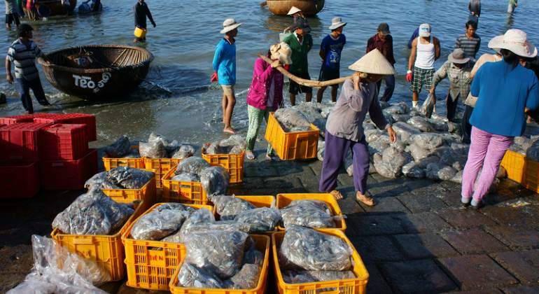 pesca-vietnam-puerto-770-dreamstime.jpg