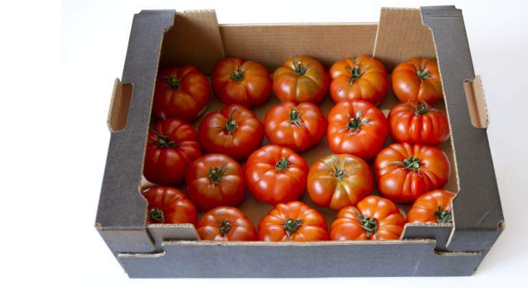 tomates-caja-770-istock.jpg