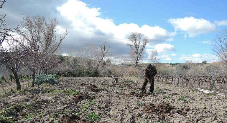 agricultura-ep.jpg