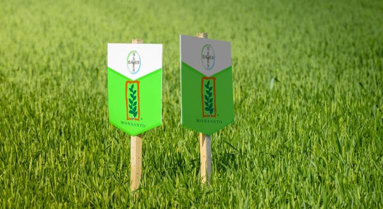 bayer-monsanto-cesped.jpg