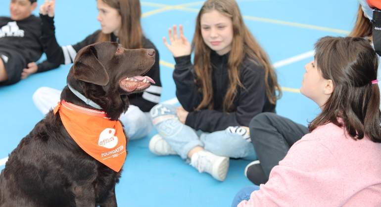 acosoescolarconperros.jpg