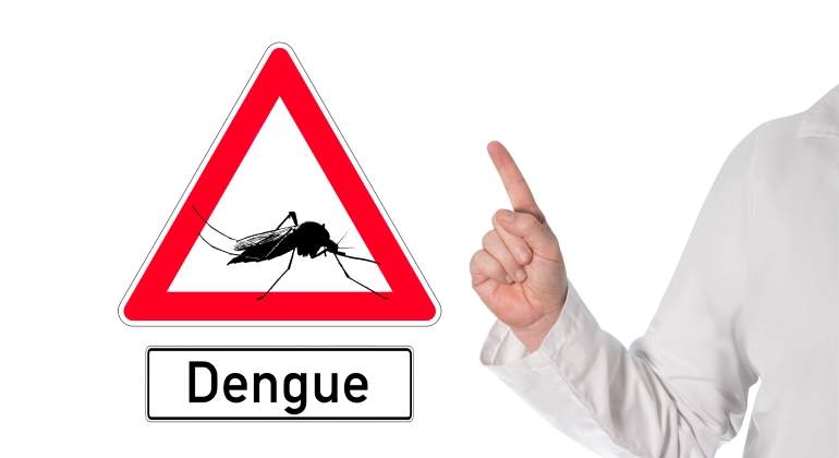 dengue-dreamstime.jpg