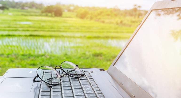 ordenador-gafas-campo-dreamstime.jpg