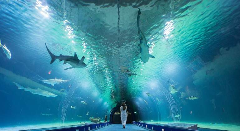 OceanograficValencia.jpg
