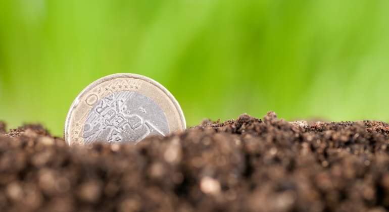 euro-moneda-1-truco-neumaticos-dgt-dreamstime.jpg