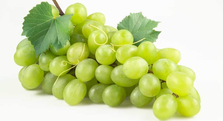 uvas1.jpg