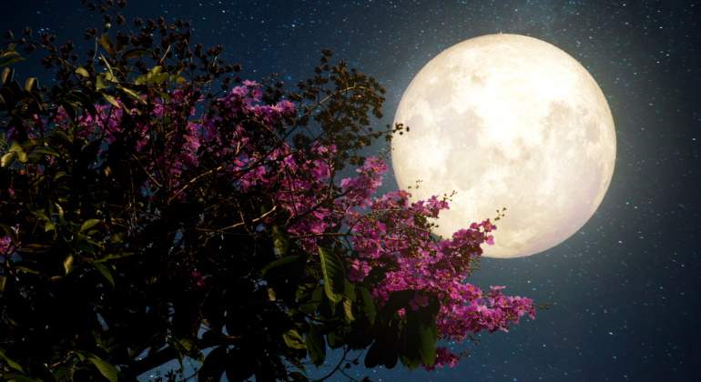 primavera-luna-eclipse.jpg