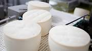 Vino rioja, cava, queso manchego... China protegerá doce denominaciones de origen españolas