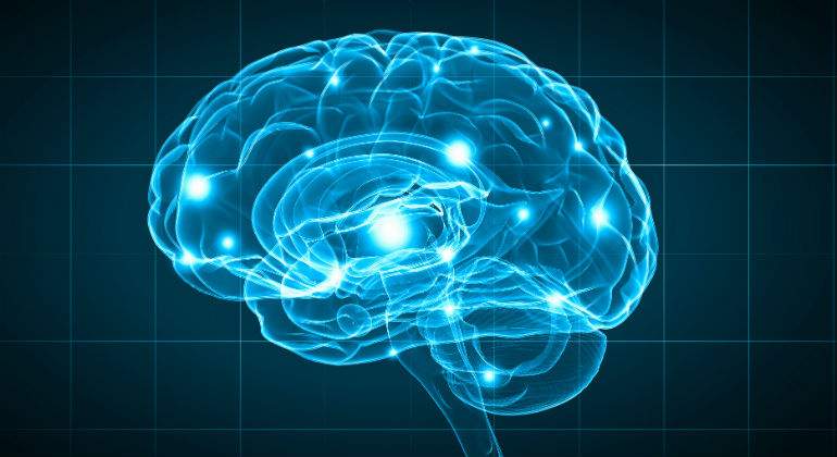cerebro222222.jpg
