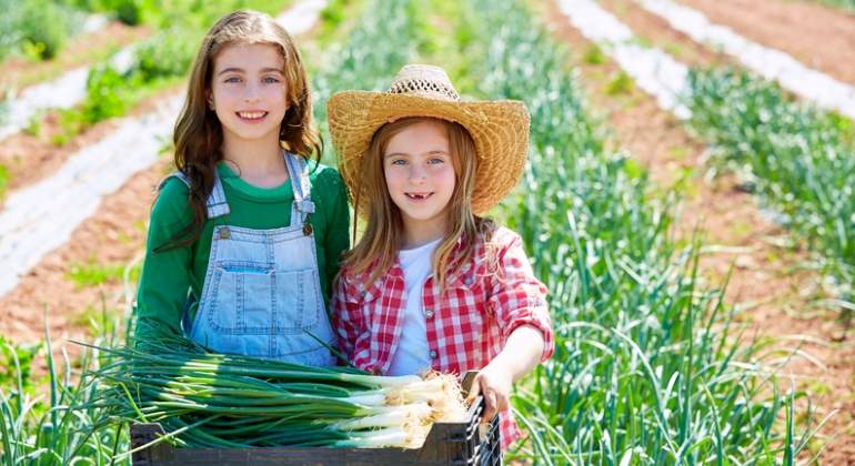 huerto-agricultura-ecologico-dreams.jpg