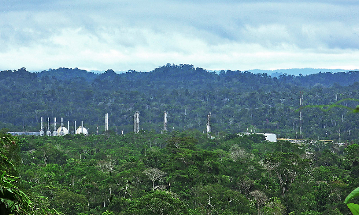 Planta-Camisea-1.png