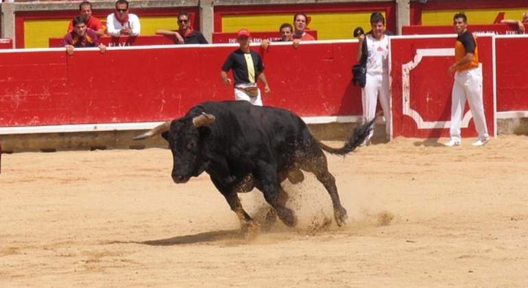 toro-plaza-770x420-pixabay.jpg
