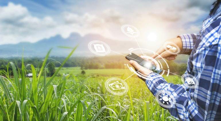 campo-rural-innovacion-movil-770-dreamstime.jpg