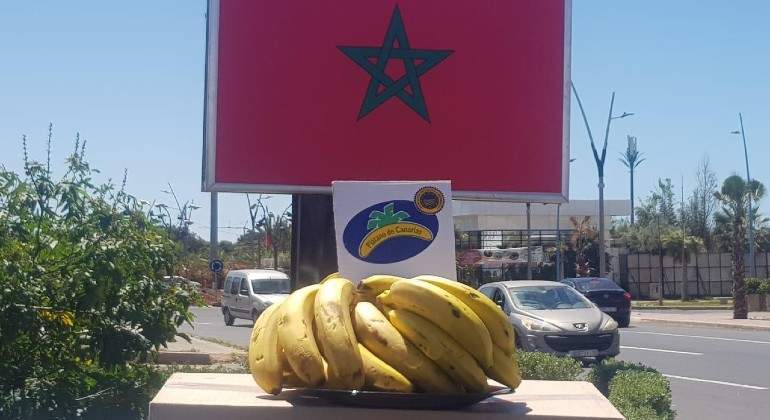 canarias-platanos.jpg