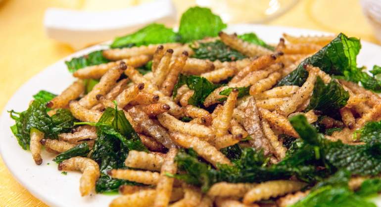 insectos-comida-venta-supermercados-istock.jpg