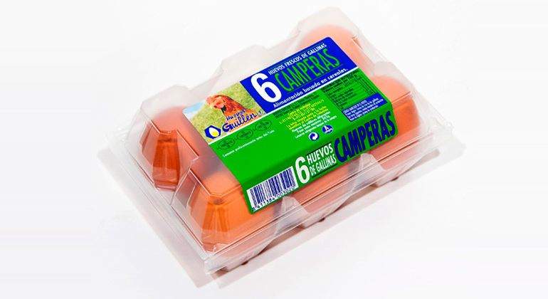 huevos-guillen-camperos-770.jpg