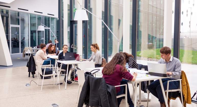 universidad-3.jpg