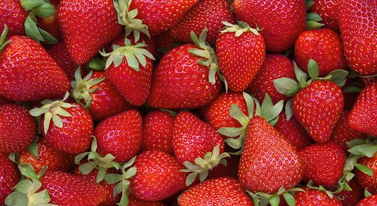 Fresas-rojas-iStock.jpg