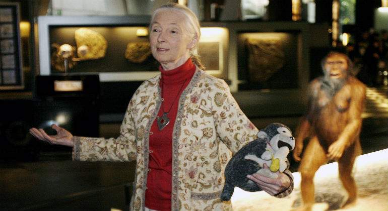 Jane-Goodall-defini.jpg