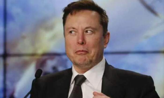 elon-tmz-770-1.jpg
