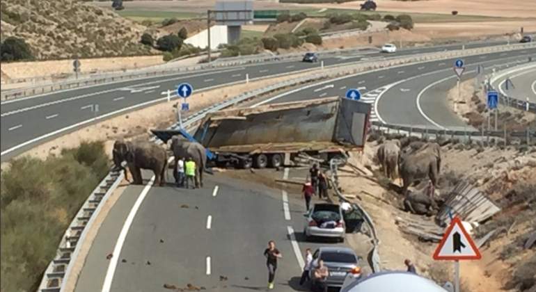 pozocanada-elefantes-accidente-ayto.jpg