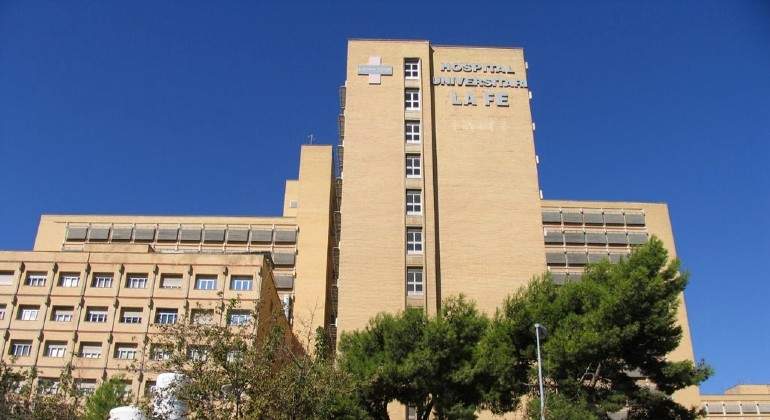 Hospital-La-Fe-en-Campanar-EUROPA-PRESS.jpg