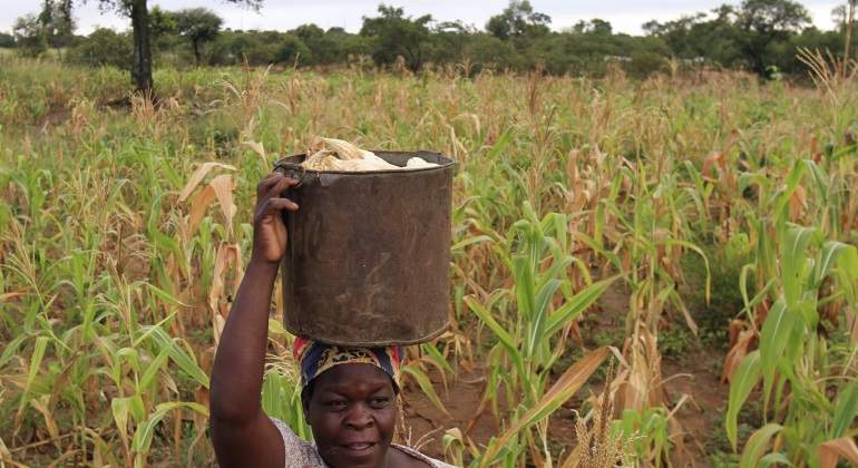 zimbabue-mazi.jpg