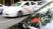 Competencia arremete contra la precontratación de las VTC y pide liberalizar el taxi