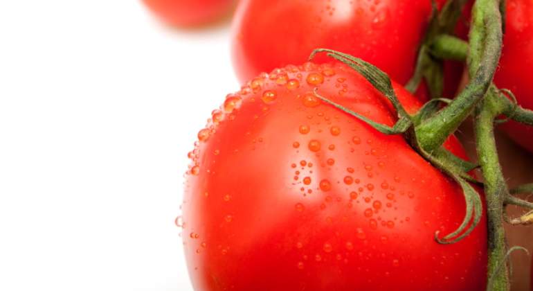 tomate-fruta-verdura.jpg
