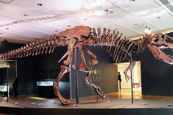 Un esqueleto de Tiranosaurio Rex se vende en Christie's por más de 27 millones de euros Un esqueleto de Tiranosaurio Rex se vende en Christie's por más de 27 millones de euros