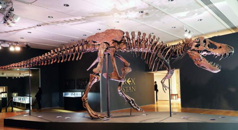 Dinosaurio-apertura.jpg