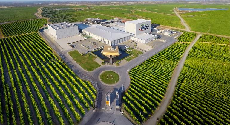 Planta-DON-SIMoN-en-Huelva.jpg