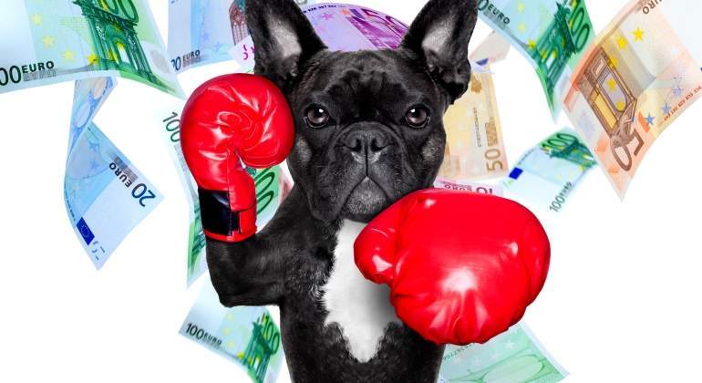 perro-billetes.jpg