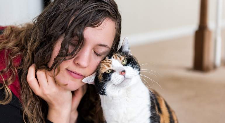 Un-gato-tricolor-acariciando-a-una-chica-con-su-cabeza-iStock.jpg