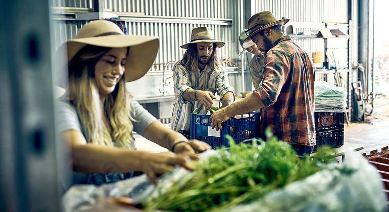 agricultores-jovenes-empaquetado-770-istock.jpg