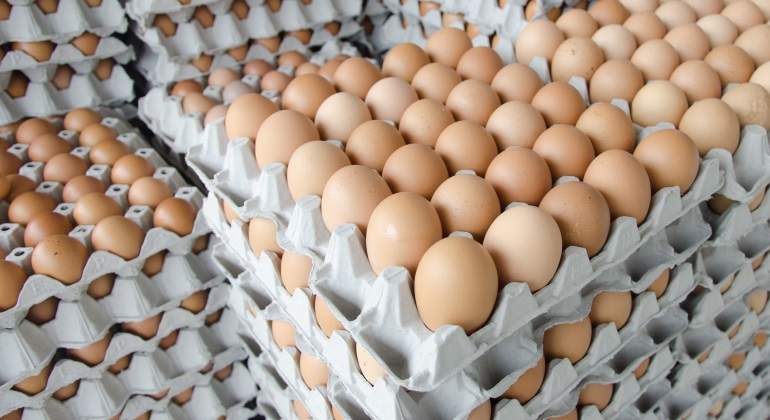huevos-marrones-dreamstime.jpg
