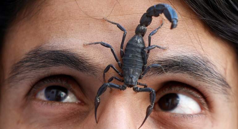 Escorpion-cara-Reuters-2017.jpg