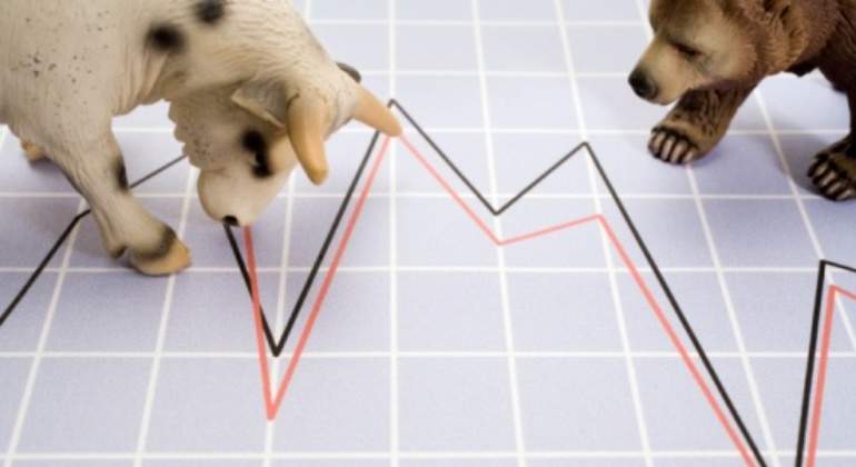Oso-Toro-Grafico.jpg