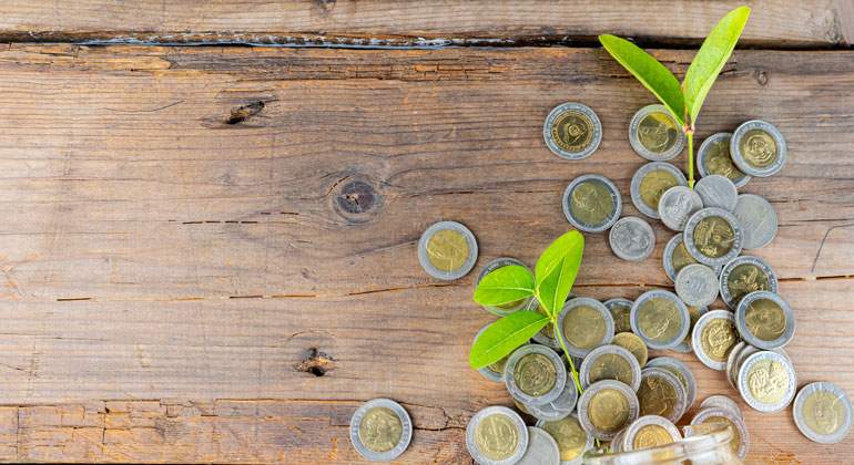 Monedas-sostenibilidad-770-istock.jpg